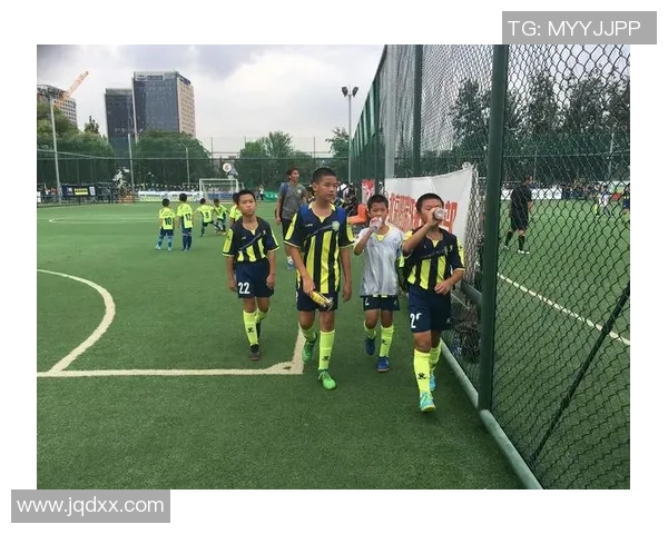 新泻天鹅迎战赞岐挑战赛季巅峰对决展现足球魅力与激情