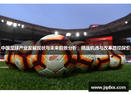 中国足球产业发展现状与未来前景分析：挑战机遇与改革路径探索