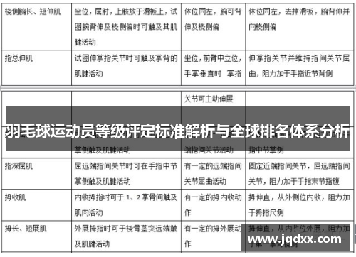 羽毛球运动员等级评定标准解析与全球排名体系分析