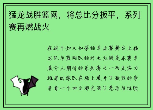 猛龙战胜篮网，将总比分扳平，系列赛再燃战火